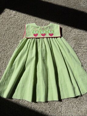 The Bailey Boys EUC 24 Months 2T Girls Dress Gingham W/Collar